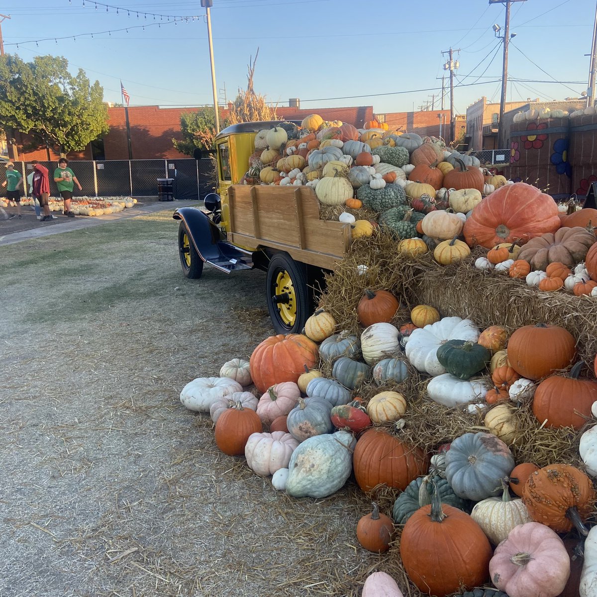 visitennistexas's tweet photo. Come experience this amazing pumpkin patch and hay maze in downtown Ennis! #ennistx #Ennisautumndaze #pumpkins #haymaze #fallphotography open 9 am- 9 pm daily https://t.co/ziob4QizDL