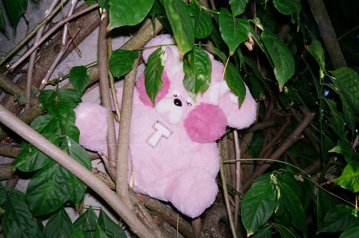 TURNSTILE tweet media