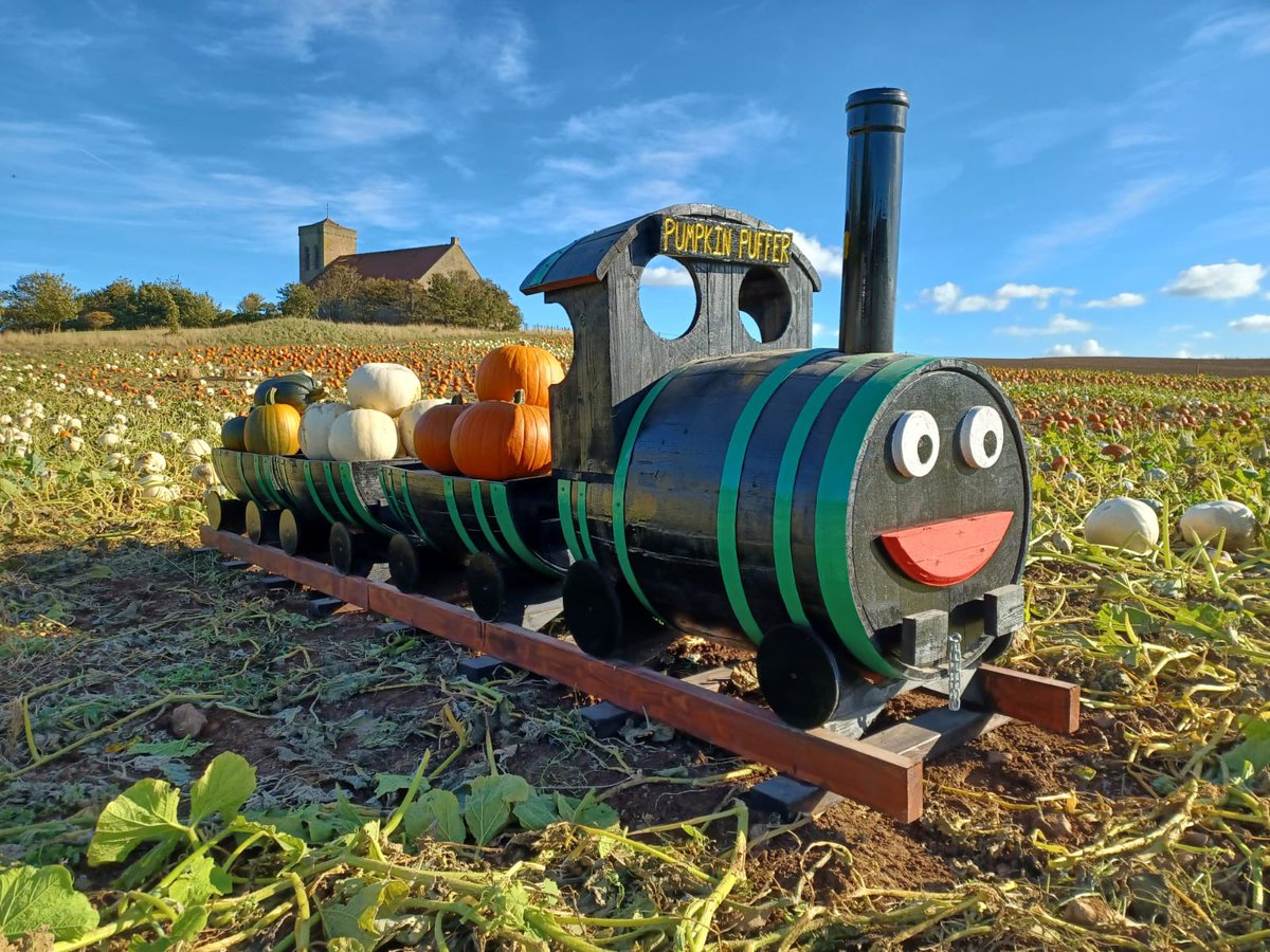 Our Pumpkin 🎃 Patch opens on Saturday 😃! The #pumpkinpuffer is our new addition to the patch this year!