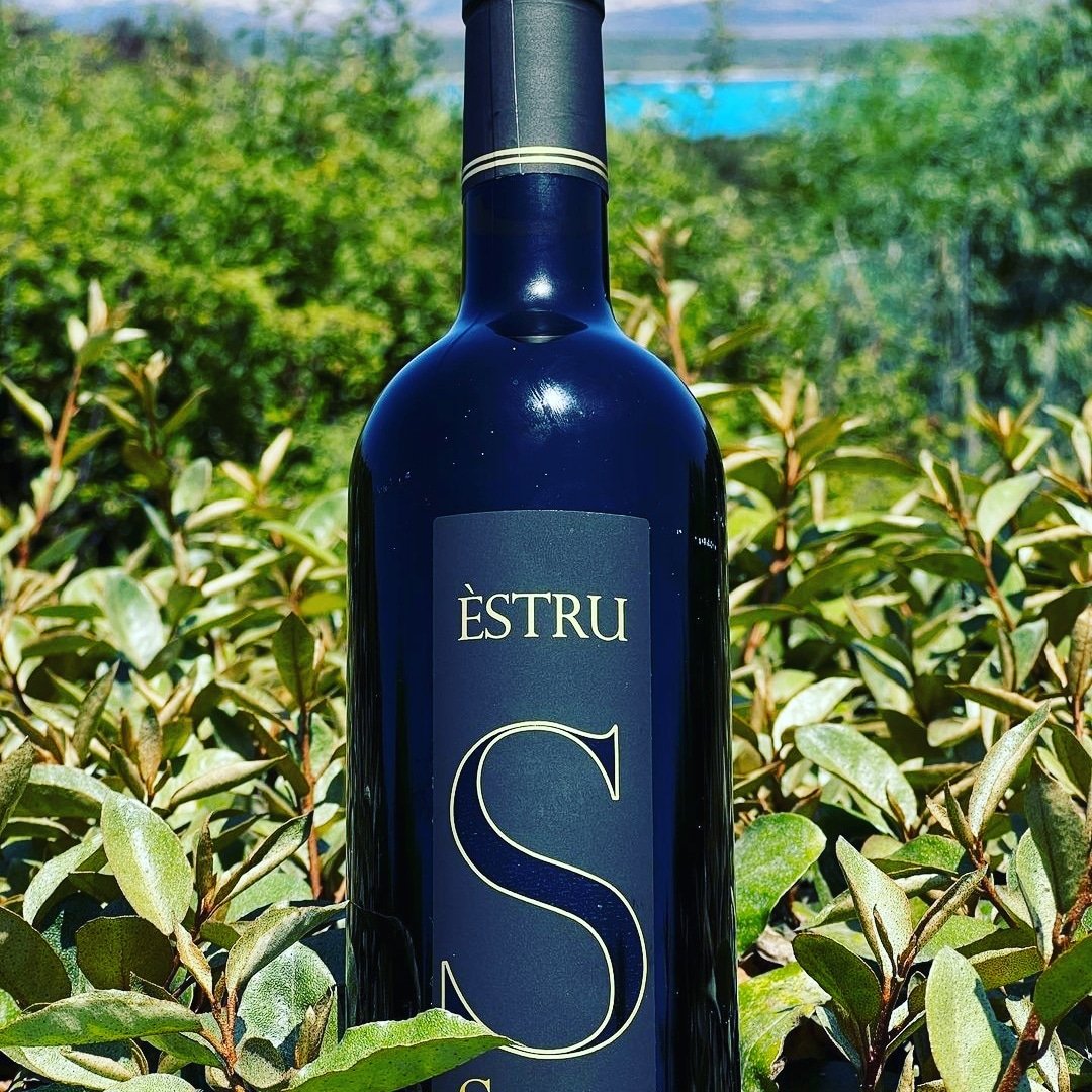 Siddurasrl's tweet photo. Nuovi arrivati in casa @Siddurasrl #estru #wine #winelover #winetasting https://t.co/6RZfAAeggJ