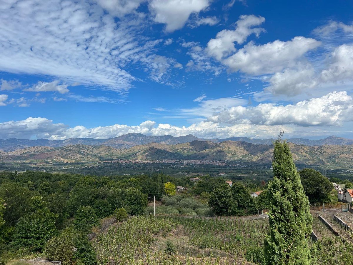 Emily Mills tweet media