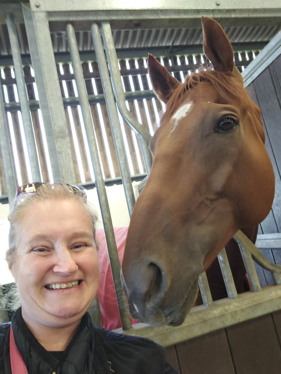 TraceyDoxsey's tweet photo. @CharlieLongsdon @UttoxeterRaces Congratulations to all, isn't he just one of the most consistent horses? Had the pleasure of meeting him too during your open day. He's a lovely natured horse too, well done lad #Jamacho https://t.co/BZuHBiczcx