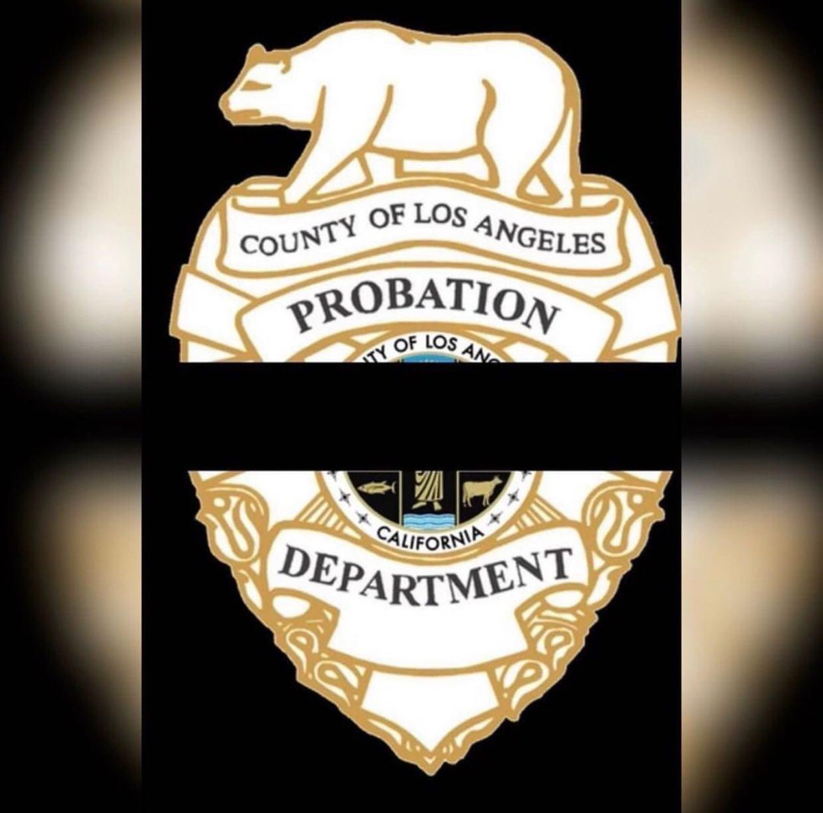San Joaquin County Probation would like to extend our deepest condolences to the Los Angeles County Probation Department as they mourn the loss of Probation Officer Paula Lind. Our thoughts and prayers go out to her friends, family and colleagues. Thank you for your service.