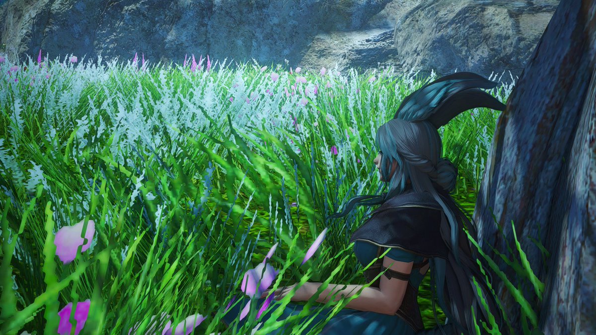 NoctuKitsu's tweet photo. 1. Cozy
"Where is your sister?"
"Probably sleeping out in the fields... again."
"Oh... well let's leave her be then."
#GPOSERS - #GShade - #Buntober - #NatureWalker - #viera - #NenekoColorS https://t.co/8EIECY17Iu