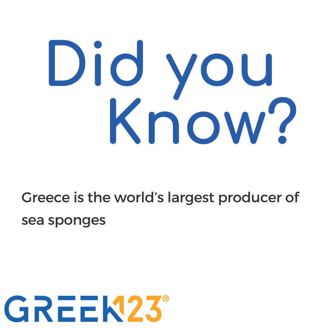 Greek123_'s tweet photo. Did you know that Greece is the world’s largest producer of sea sponges? The island of Kalymnos is famous for their beautiful natural sponges that people dive for and then sell. Next time you are using a natural sponge, think Greece! https://t.co/dpFgskfhc5