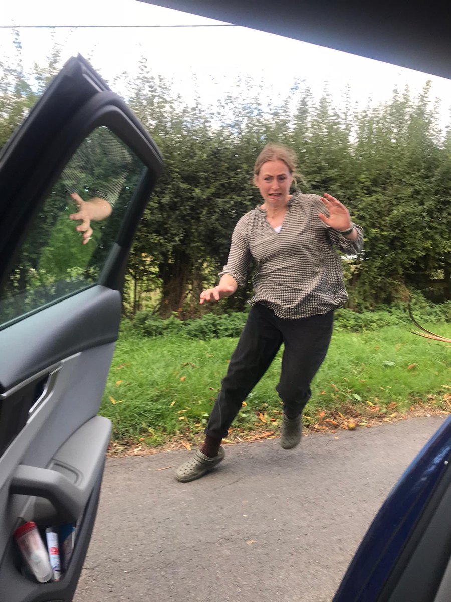 mlliei's tweet photo. A short story: mum told me to get the pheasant in the car because she thought it was tame https://t.co/qkMf8PwMPH