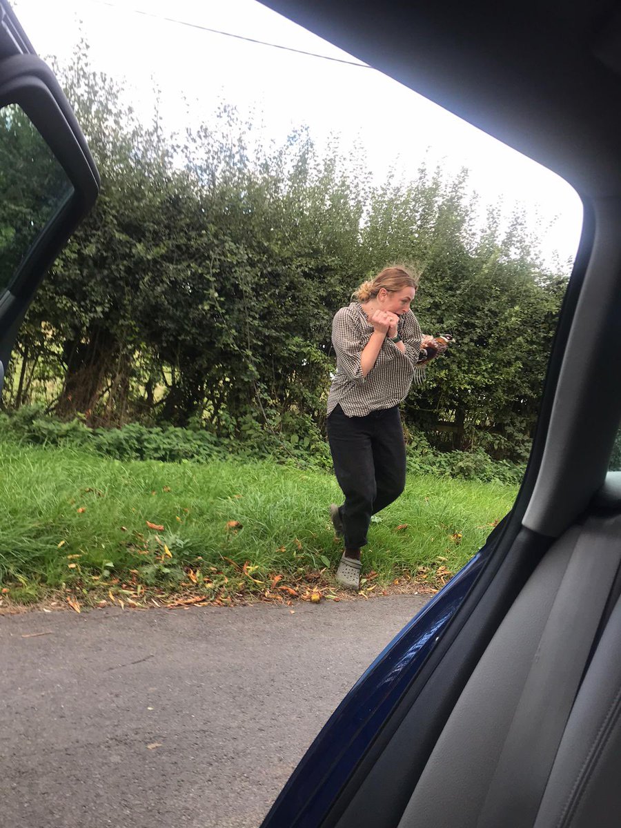 mlliei's tweet photo. A short story: mum told me to get the pheasant in the car because she thought it was tame https://t.co/qkMf8PwMPH