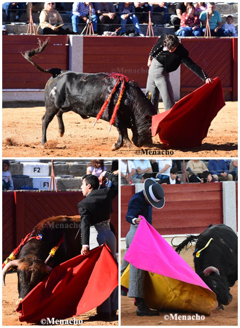 objetivoeltoro's tweet photo. #ClaseMagistral #EscuelataurinaSalamanca #Guijuelo
#AntonioGrande #ManuelMartin #MarioNavas @RaquelMartinCom
Excelentes novillos de #LopezChaves e @inalopez_chaves
#JoseIgnacioSanchez #JoseRamonMartin #JoseJavierMartin https://t.co/04B4tH414V