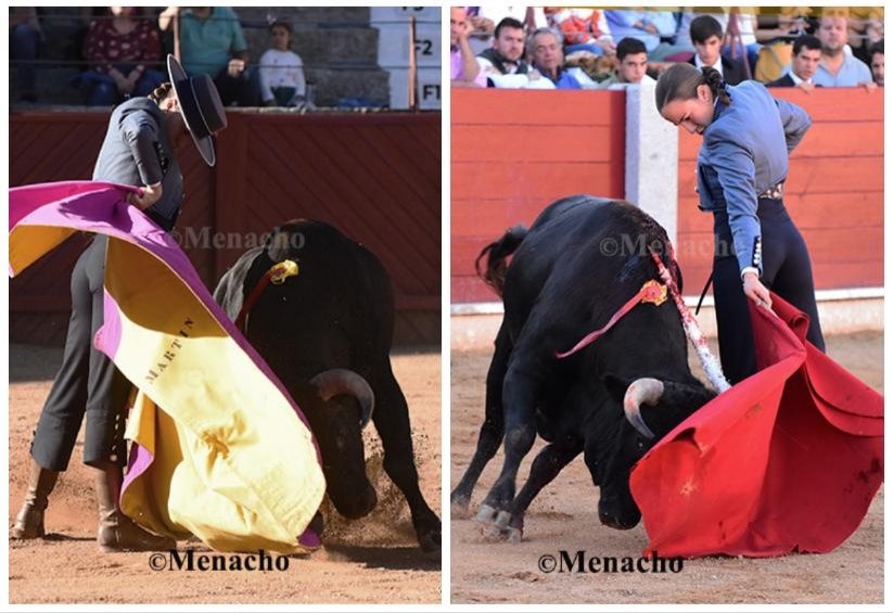 objetivoeltoro's tweet photo. #ClaseMagistral #EscuelataurinaSalamanca #Guijuelo
#AntonioGrande #ManuelMartin #MarioNavas @RaquelMartinCom
Excelentes novillos de #LopezChaves e @inalopez_chaves
#JoseIgnacioSanchez #JoseRamonMartin #JoseJavierMartin https://t.co/04B4tH414V