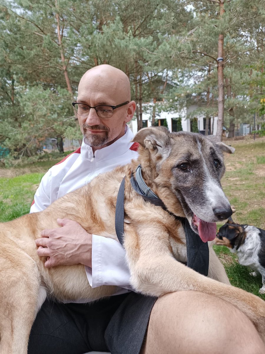 J52Wallusch's tweet photo. Today in my >>Funkcja the #Senior #Pup<< series:
On Dad's Lap Whilst Ε»abka πΈ Is Exploring
#DogsofTwittter
#DogsofFootball π
#DogsofRugby π https://t.co/9Z3Zfrr9q5