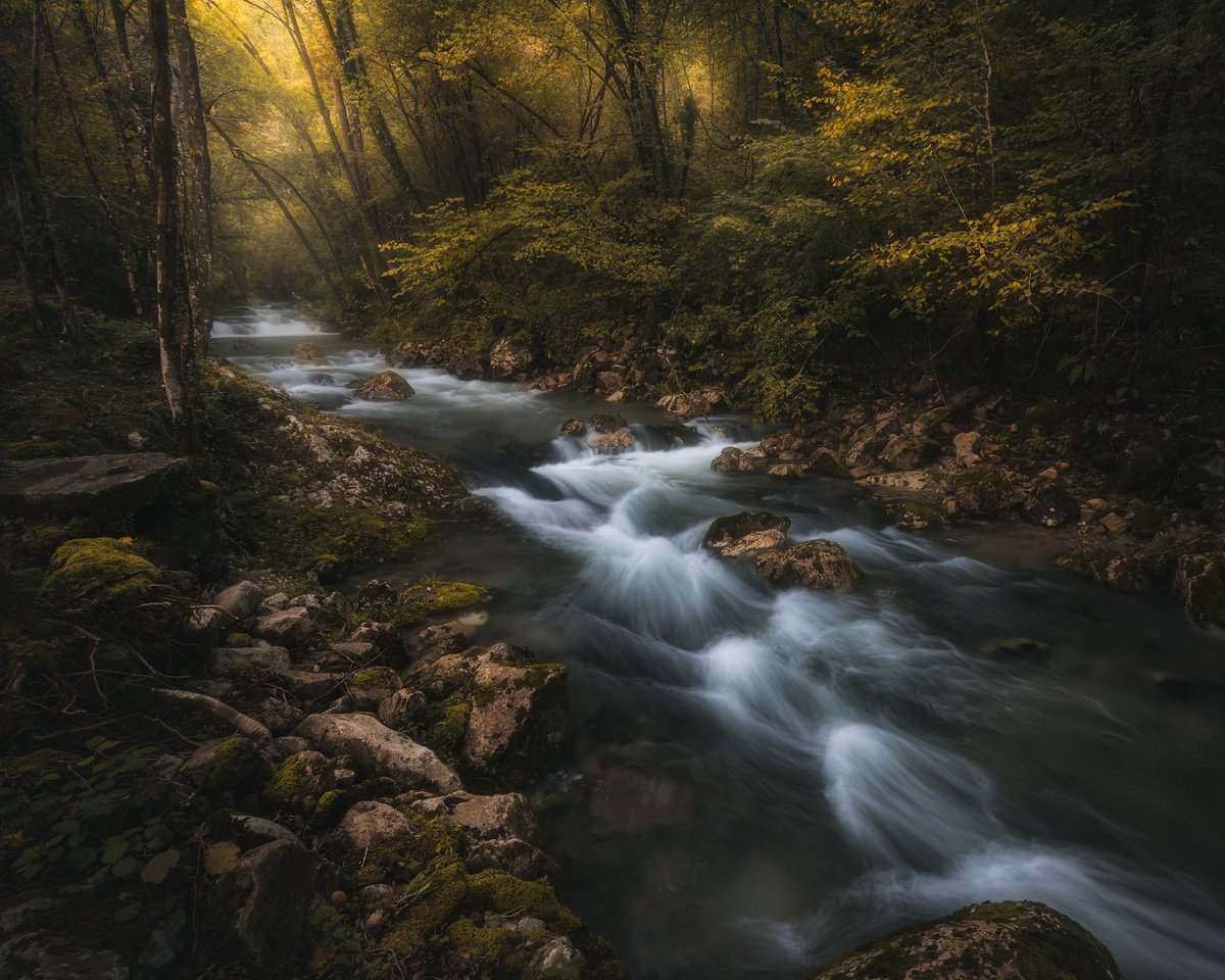 "Traveler in Time"
#fineartphotography #naturelovers #landscape #photooftheday #Autumn #NFT