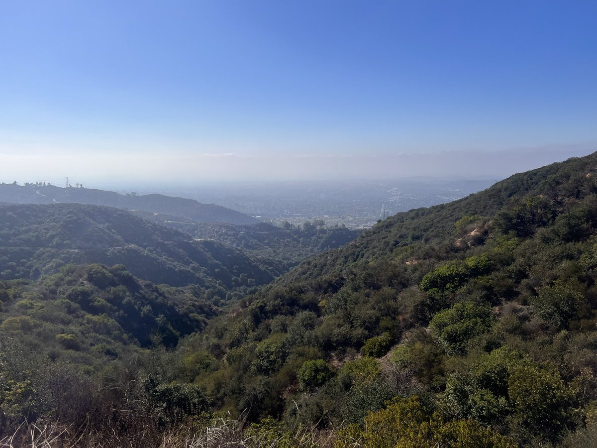 Hollie S tweet media