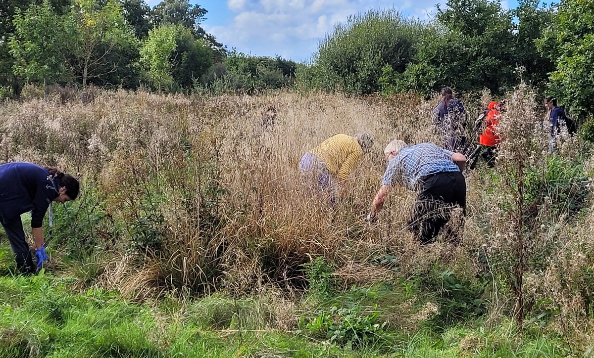 andy_jg's tweet photo. Feeling autumnal finding Harvest mice nests with Derek Crawley from @Mammal_Society today. Amazing start to survey with 10 new vols trained &amp; 16 nests found on @chesterzoo land!! 🐭🌾@ScienceatCZ https://t.co/lut9PGQsei
