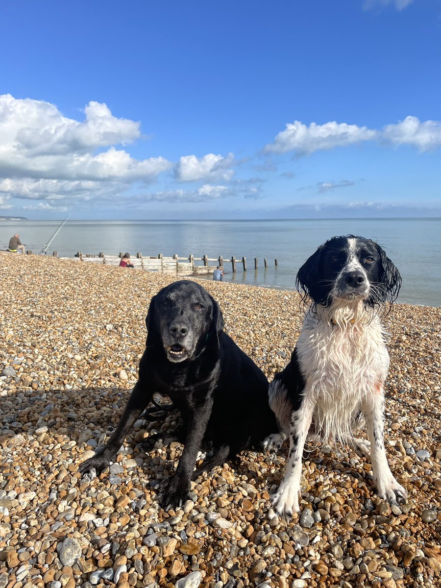 Boys day out at the beach today! 🏖🍦😋