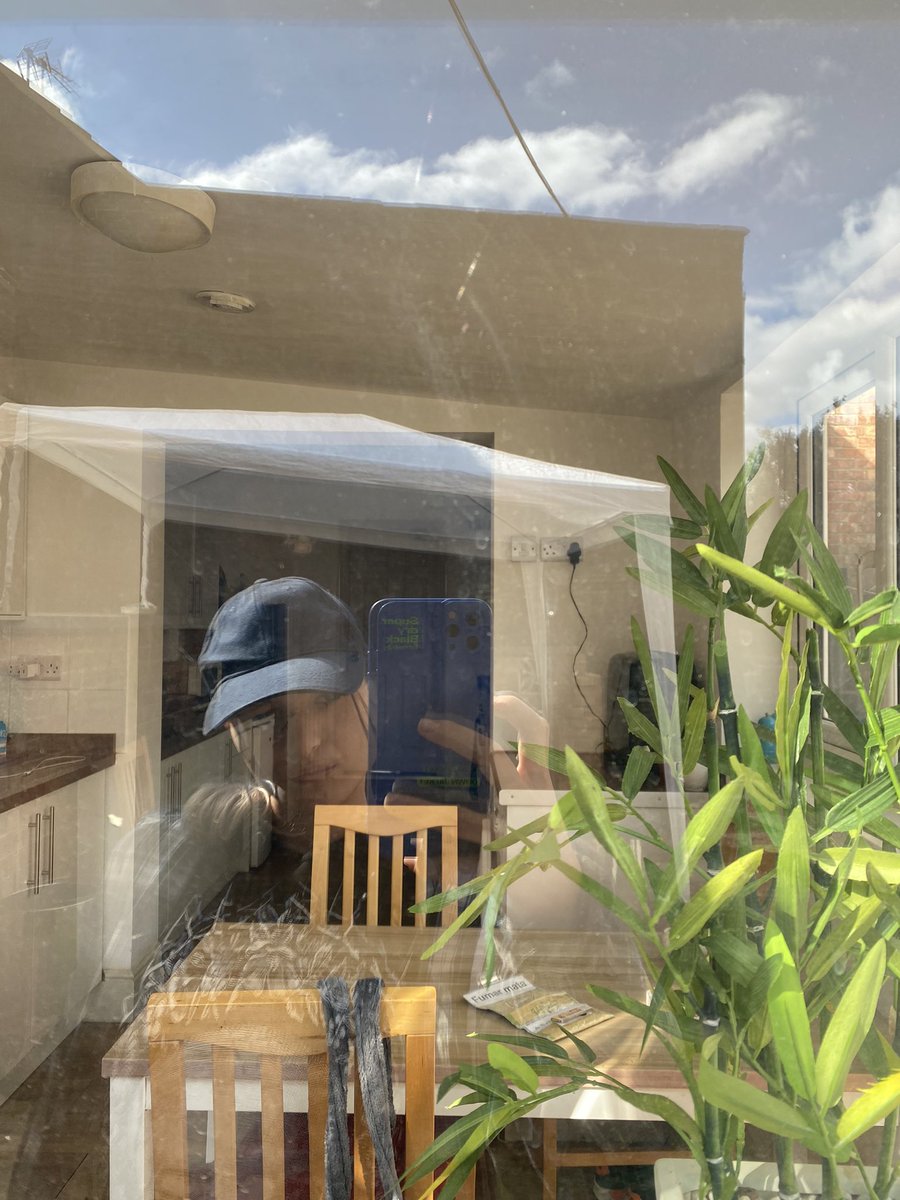callmeantiii's tweet photo. Estas ultimas semanas me he empezado a sentir más como en “casa” y justo mñn me cambio de ciudad xd y si por el hecho de empezar a estar más a gusto  renunciará a mudarme, me perdería la oportunidad de volver a empezar en otro lugar distinto… no hay que acostumbrarse a nada https://t.co/Qs8Ow3Gyic