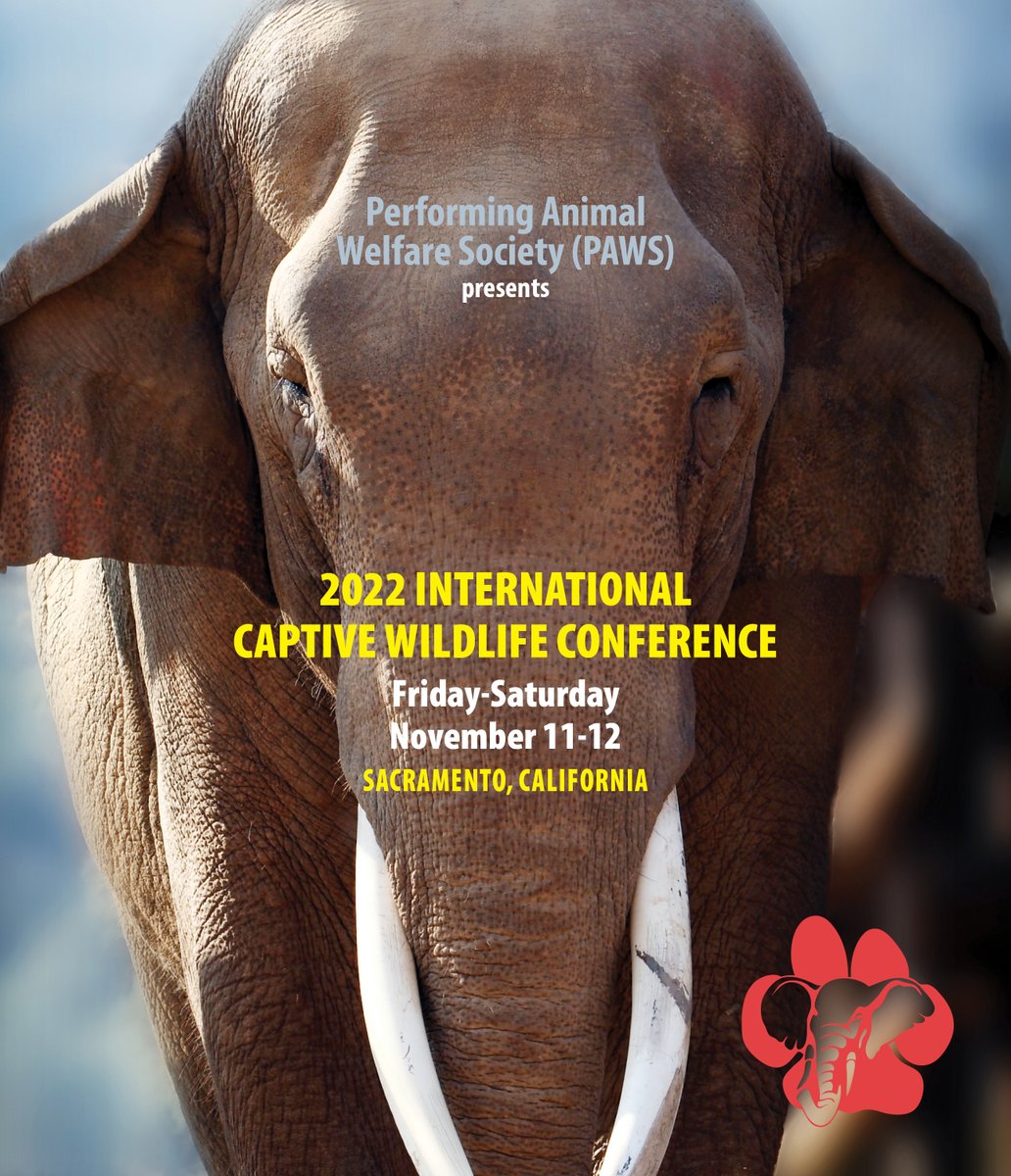 PAWSARK2000's tweet photo. Registration closes October 15th!
The PAWS International Captive Wildlife Conference will take place Nov. 11-12, in Sacramento, CA. Information and registration here: https://t.co/O5WLIUIuuC
View program: https://t.co/DeFINzwdFG
Meet our speakers: https://t.co/3rJ3mSRUmk https://t.co/emwFJ1rVTJ