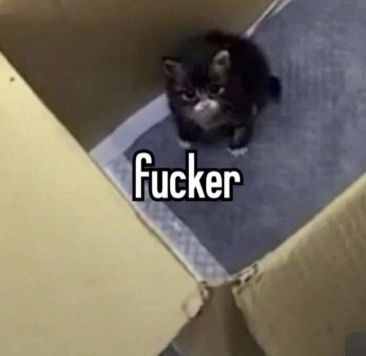 The Cutting Corner tweet media