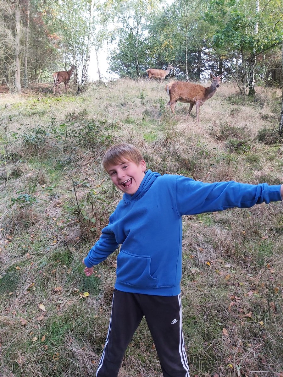 acrock79's tweet photo. @Class6Highpri TR was so excited to see the deer on our walk this afternoon. To top it off we saw the huge stag on our way back to the car. He was beautiful, huge and very vocal (the stag not TR 😜) https://t.co/JUFGRk6SH8