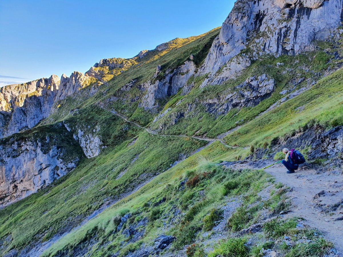 Safe back from the mountains. I want that energy to work! My body is doing seemingly better than my brain. Or maybe it's all about short vs long term #recoverychronicles