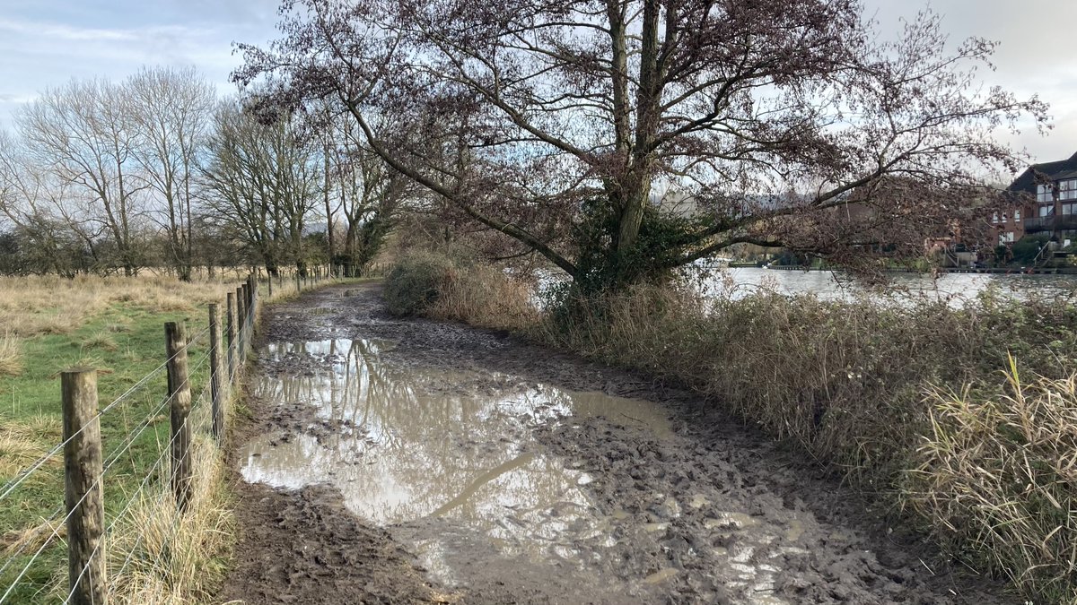 Suzanne Rowcliffe tweet media