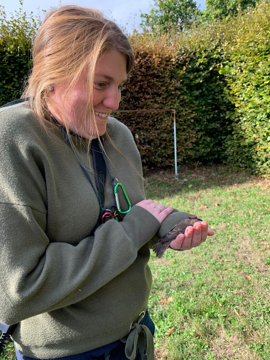 JennyA_Rawson's tweet photo. So apparently, a spot fly in the hand gives you a double chin 🤣.. super happy to be back ringing this morning, awesome site and fab company! 👌😁 #suffolkbirds #birdringing #stillbeaming 
@JustZant @_JamieEverett @BtoSuffolk https://t.co/IfgVnI8OLf