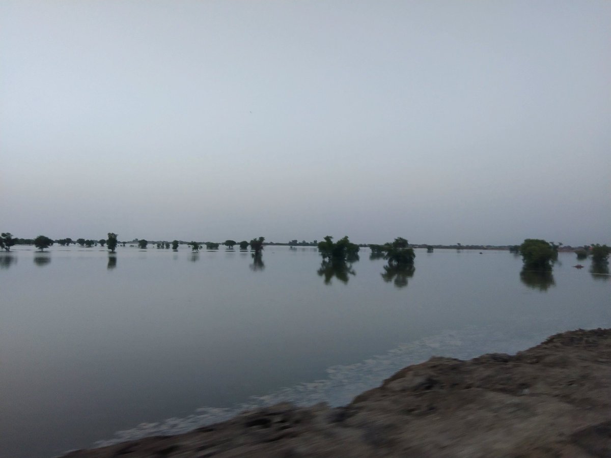 khaleeq54115257's tweet photo. #RehabilitateKnShah https://t.co/FDLpN7NTMz
