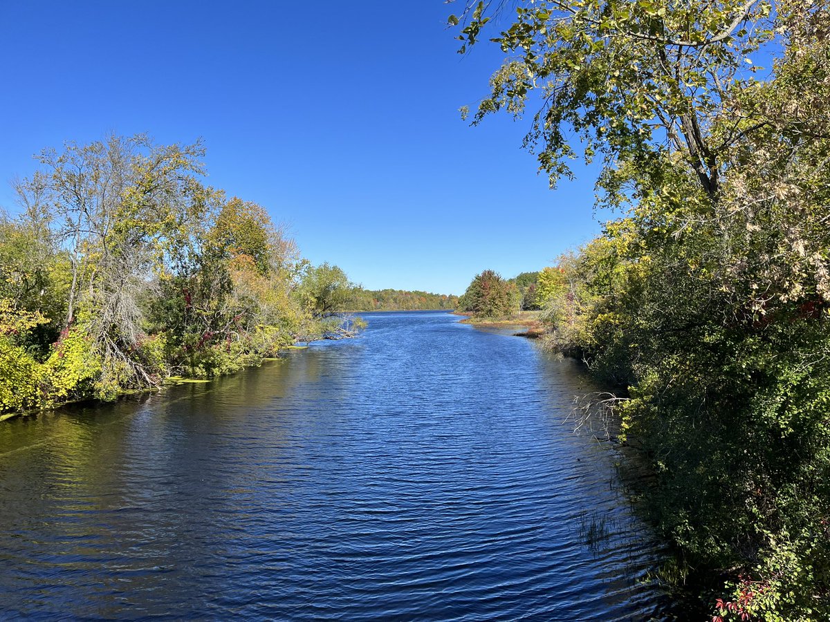 alisonmerlot's tweet photo. The #NapaneeRiver in #Colebrook. So glorious today. https://t.co/qVeLnTRwgc