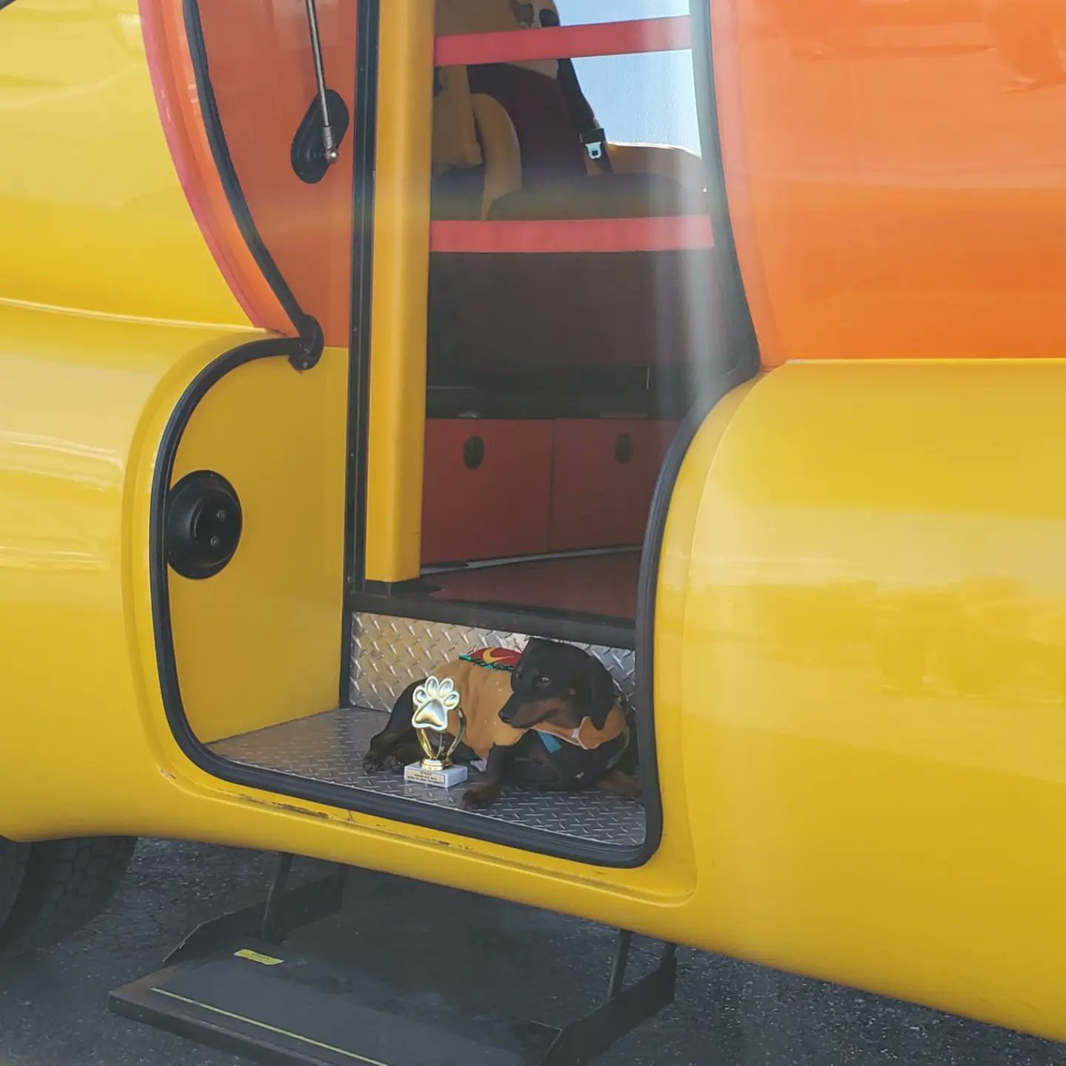 SevenOhBrew's tweet photo. The Dachshund Derby was a success!! We can't wait for next year! 🐕🐕‍🦺🏆 #Oktoberfestvegas #dachshundderby https://t.co/d1j3X5BvCx