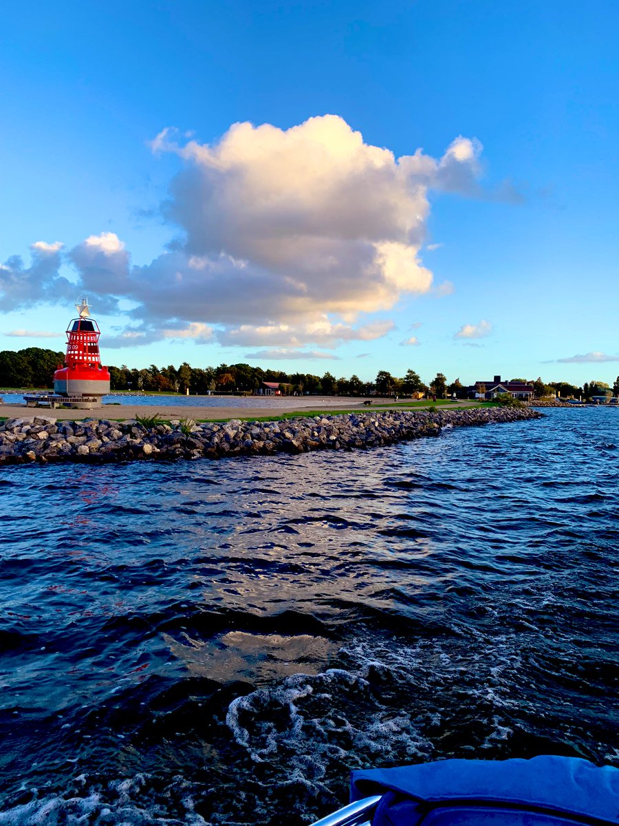 Vandaag was #Aalsmeer een droom