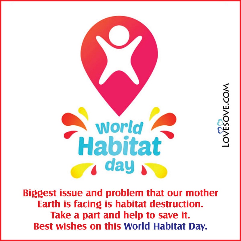 VickyKr786's tweet photo. #WorldHabitatDay https://t.co/D61oBQ0LsS