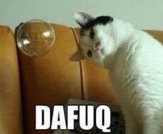 CocoVotesBlueinFL tweet media