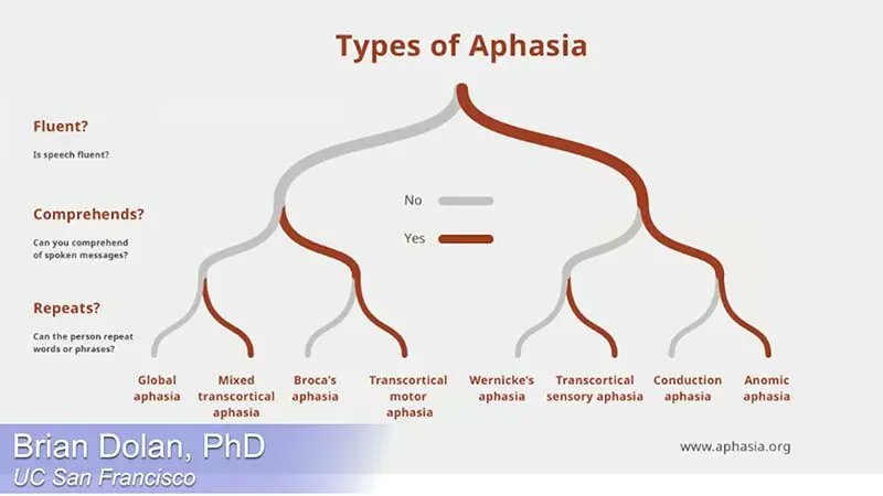 Our ability to speak helps us define who we are and how we process the world around us.  Find out what happens when a stroke impedes our ability to talk. VIDEO: Lost for Words: A Medical Humanities Approach to Understanding Speech Disorder buff.ly/3LXZWNG