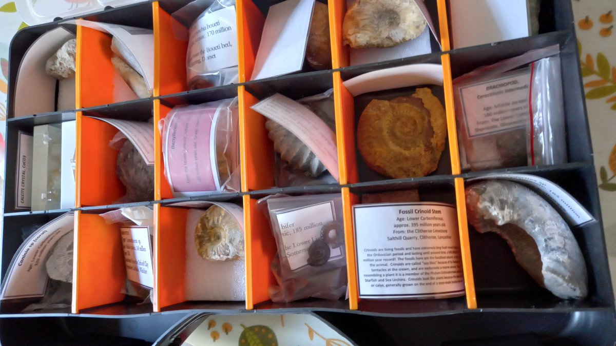 pack_steam's tweet photo. Final touches made to the latest #STEAMPacks I've made for Stanmore, which are being sent this week to @RNOHnhs Coxen Ward for the Play Specialist Team. #SharingIsCaring #Science #Art #Fossils #STEAM 😀🎁🦣🚀🎨 https://t.co/XsdIF923ry