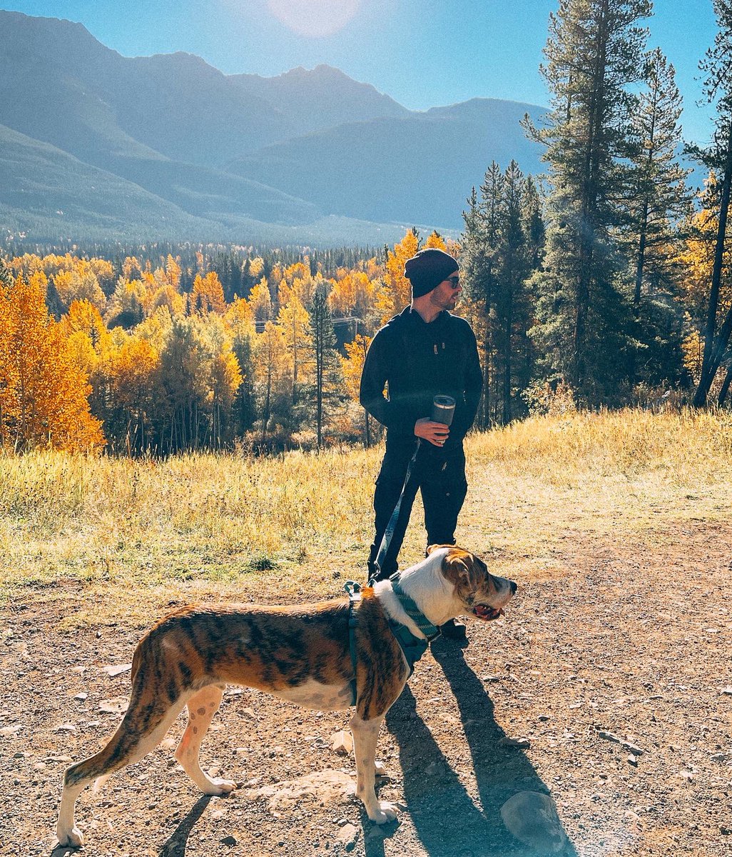 n_decarle's tweet photo. Larch season 🍂 

@taylorrocca https://t.co/UIE2lICuyB