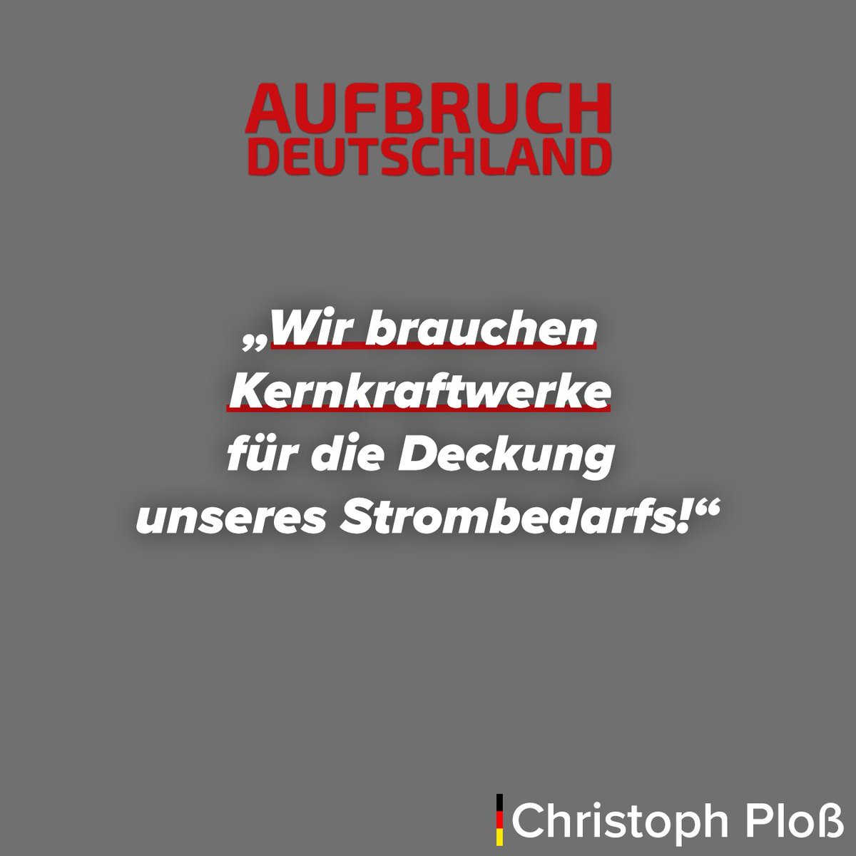 Christoph Ploß tweet media