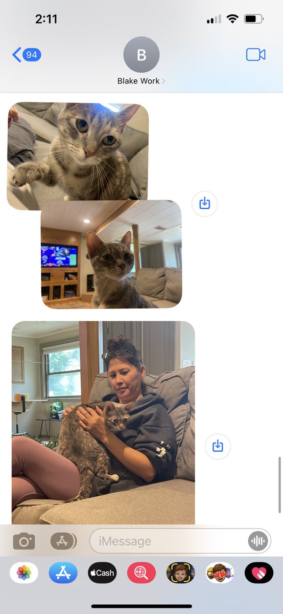 aliamae7's tweet photo. My mom and step dad just got a new cat??!??! https://t.co/u6Iraizr6D