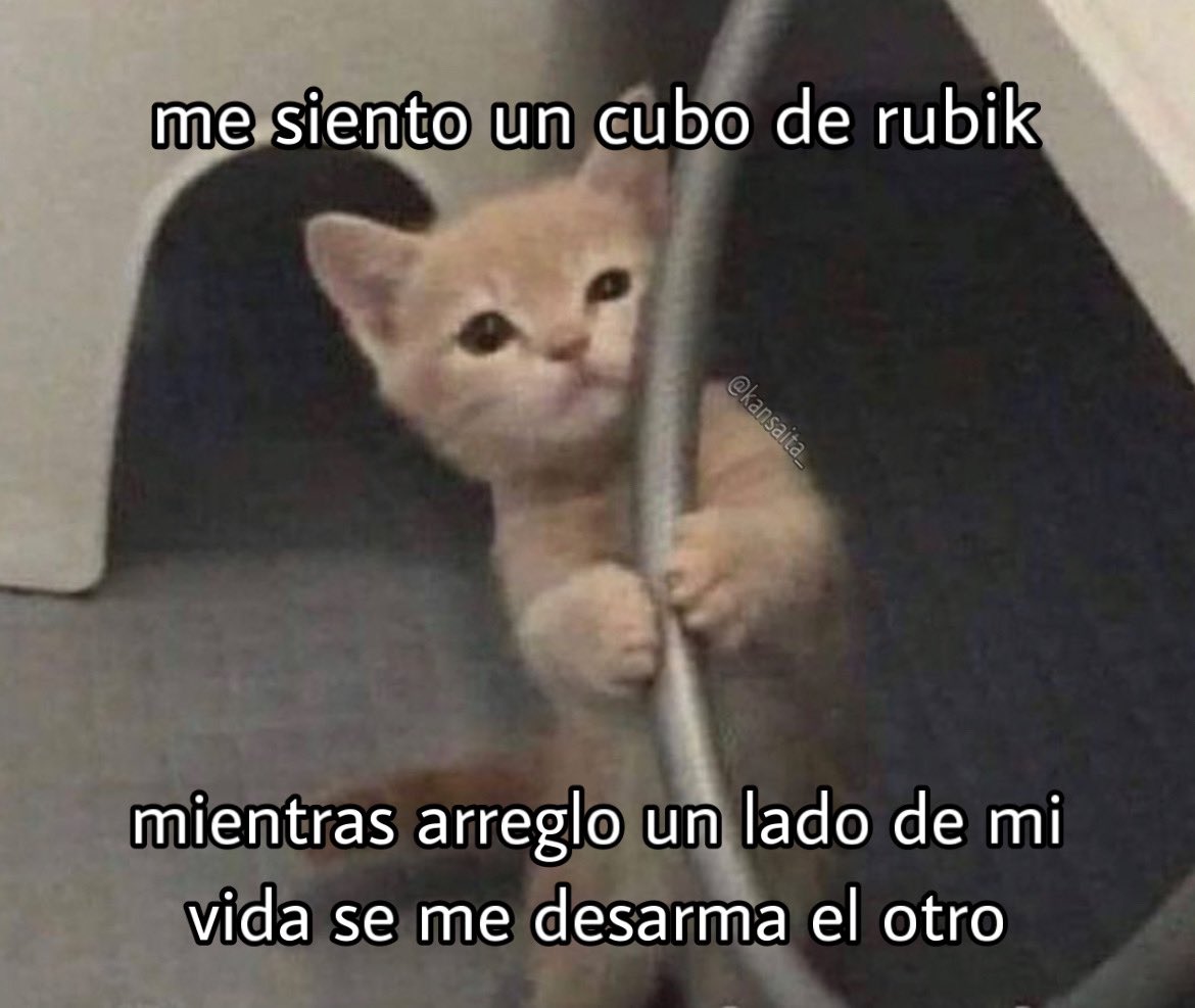 no me llamo vicenta (@kansaita_) on Twitter photo 