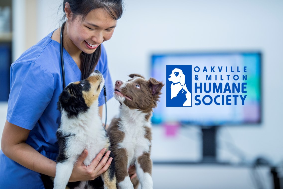OakvilleHumane's tweet photo. Only 12 timeslots remain for our Microchip Clinic this Oct. 6, from 4 pm to 8 pm. For only $30 you can help ensure your pet is returned to you by investing in microchip identification which is a permanent form of ID: https://t.co/vYE7o16IFQ
#microchipyourpet
#microchipswork https://t.co/z8EDYrpt8F