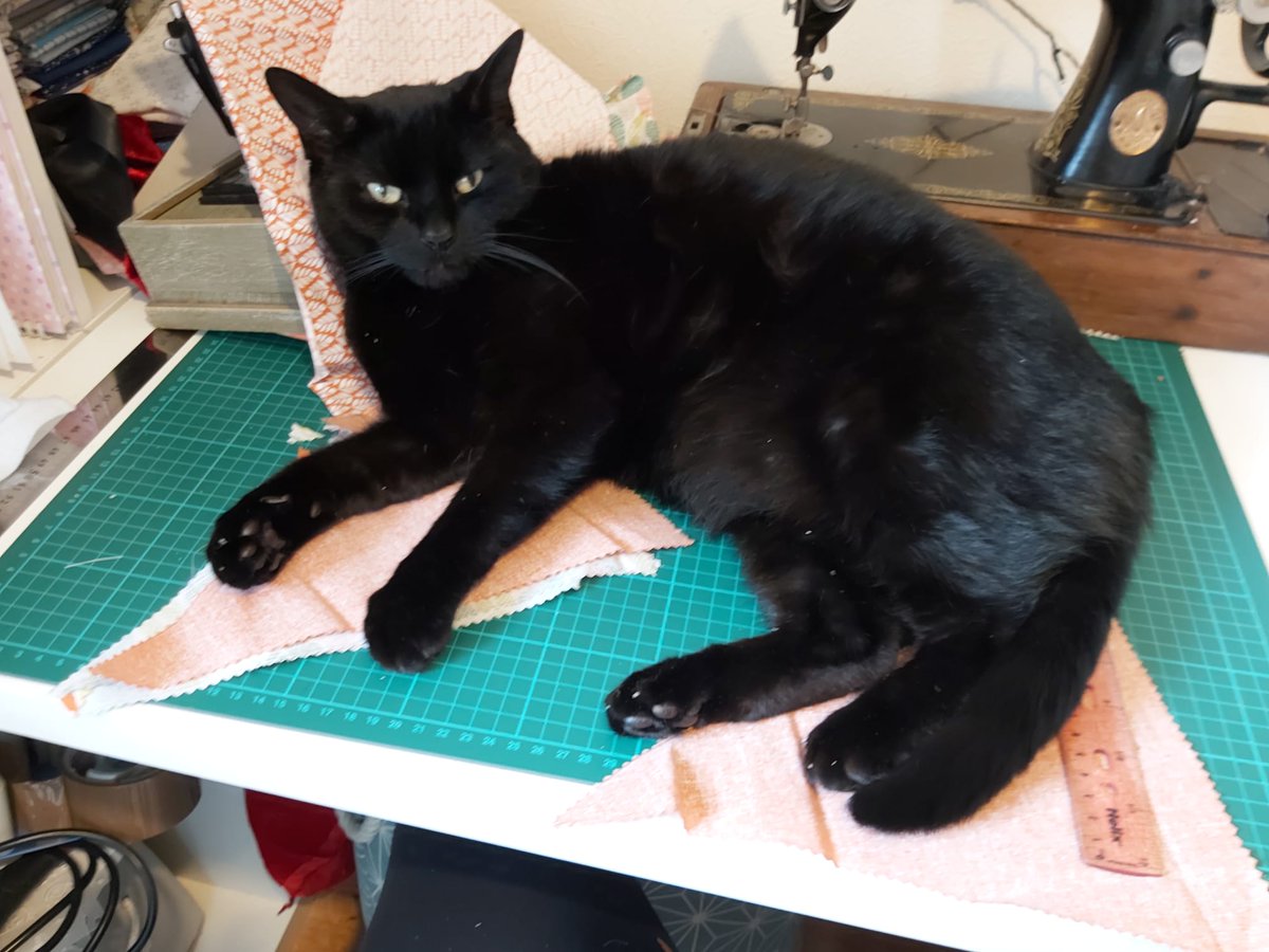 misspollyfoster's tweet photo. Hoomom thought she'd do some sewing... https://t.co/ptNND5yPx9