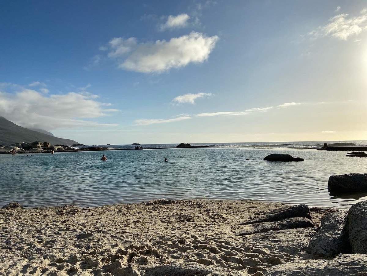 Nancy Odendaal tweet media