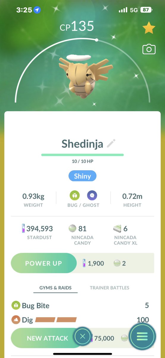 Shiny Shedinja✨✨