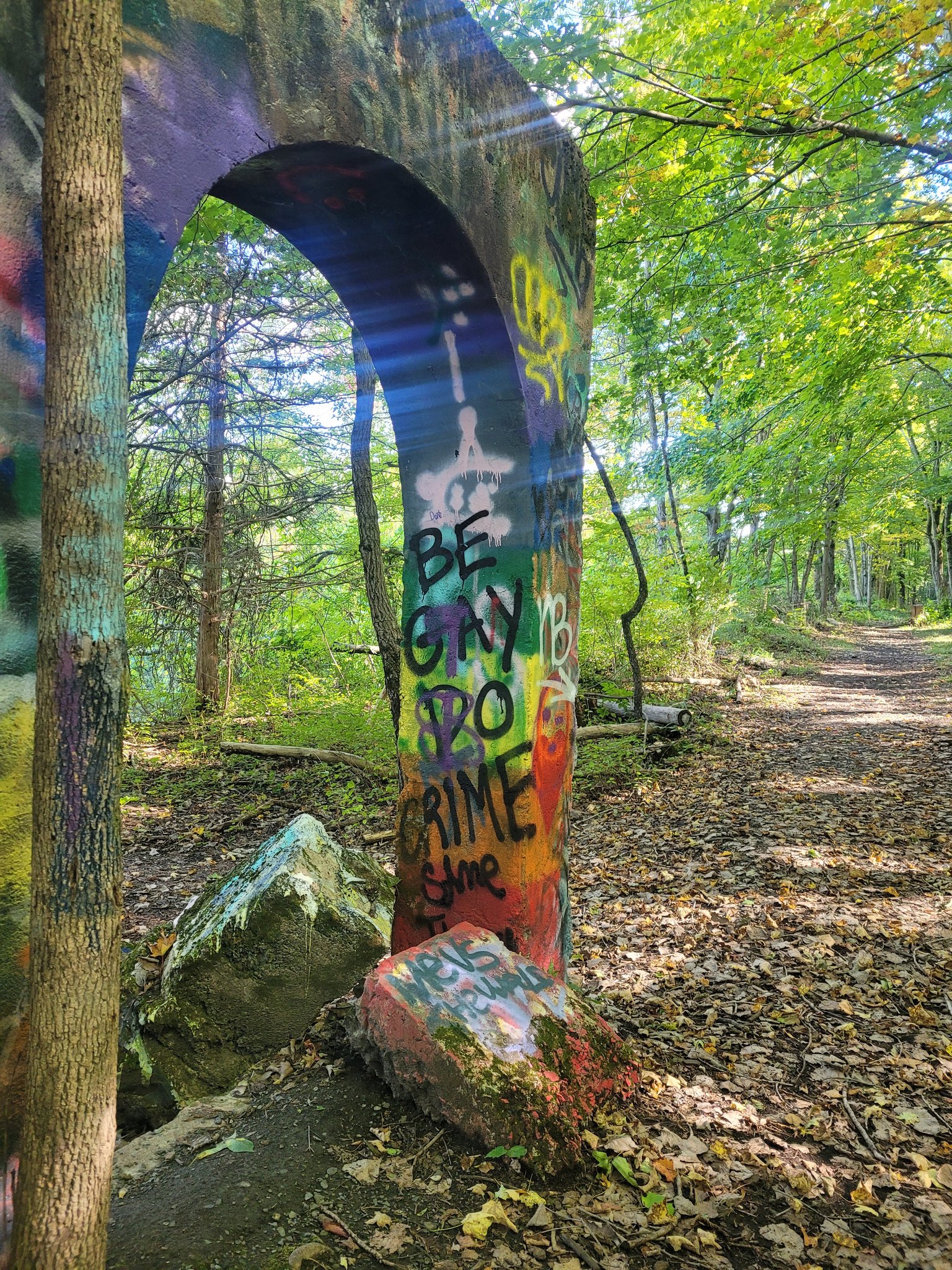 on-twitter-stanzipotenza-found-the-other-day-on-my-hike