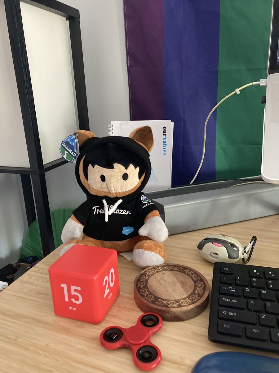 OHMYGOSH!! I got so much #dreamforce swag from <a href="/spilzer/">shoshana pilzer</a>!! It’s almost like I went there! Thank you SO much for everything, I appreciate it immensely. And there’s a pin! And stickers!! 😍🤩 #dreamforceswag #DF22 Astro’s hanging out on my WFH desk!