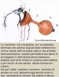ClaudeTadolti's tweet photo. @Pannocchia978 Dovrebbe anche indossare una #vanvera 🤗 https://t.co/sNlu5uzCpL