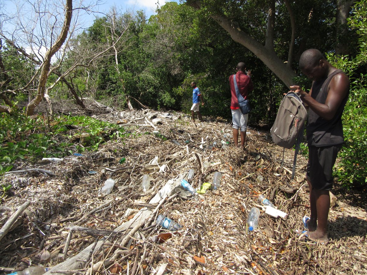 brianom01520984's tweet photo. Marine plastic wastes pile up in tonnes unnoticed in areas of limited access. @ACEFngo conducts assessment and groundtruthing of such areas. #stopplasticwaste  #plasticfreechallenge #plasticpollution #ACEF #environmentalstewardship #zeroplastics #wearehey #environmentalhealth https://t.co/fB7liCAQ74