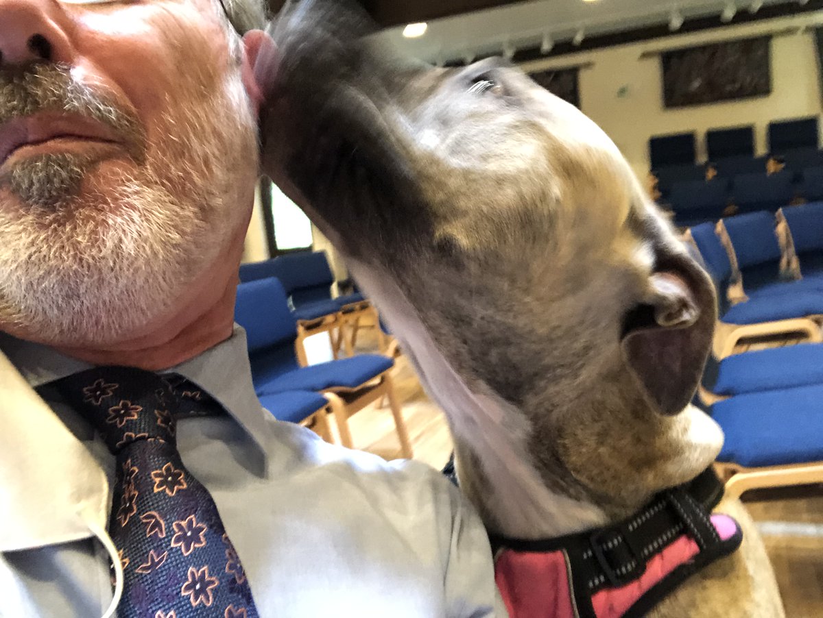 DaviesUUC's tweet photo. It was a joyous morning at Davies for our annual Blessing of the Animals! #UUtwitter #animalblessing https://t.co/Dyu6wYKMf4