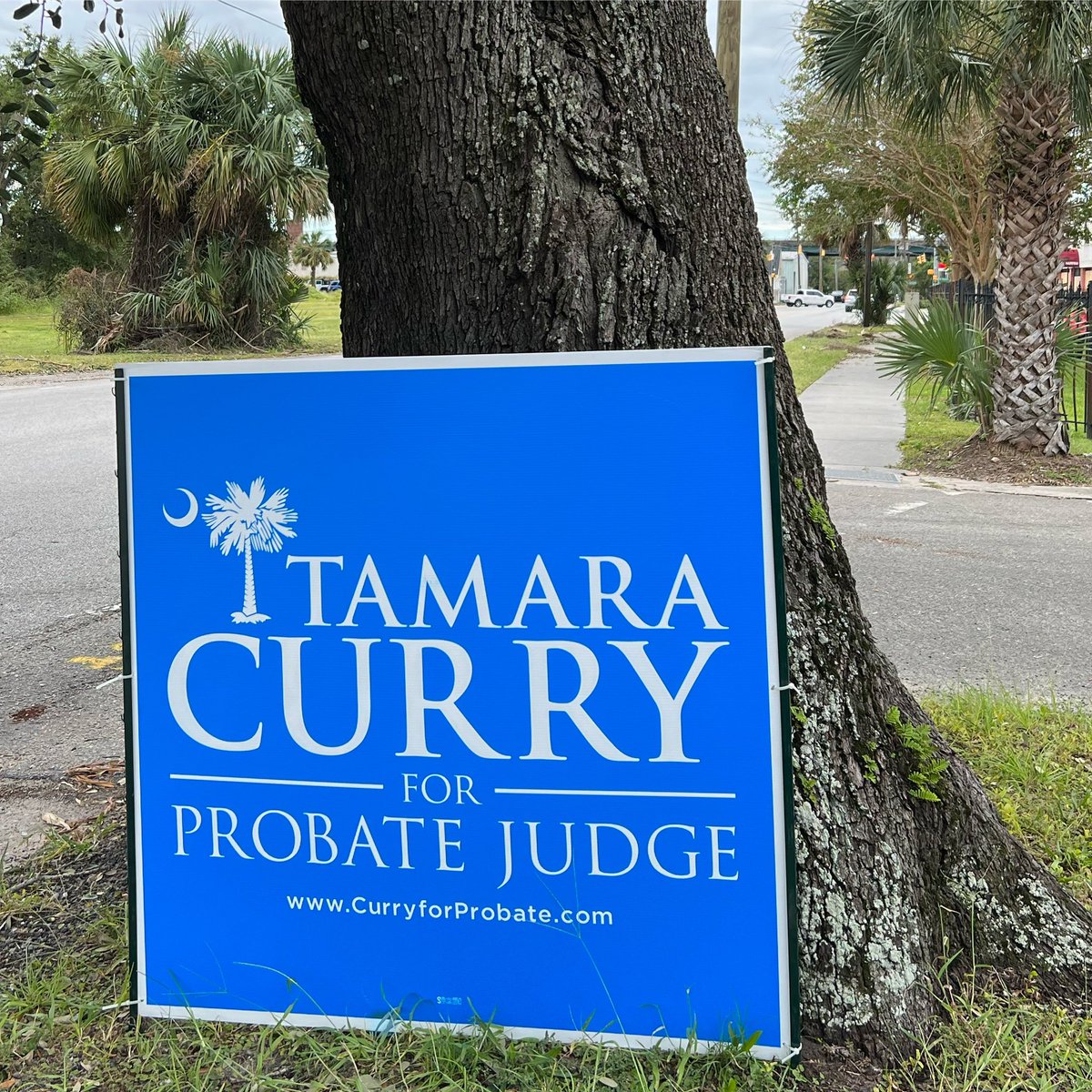 CurryForProbate's tweet photo. What a great weekend for signs! Please continue to DM us here to email info@curryforprobate.com to request a yard sign and/or bumper stickers. We deliver! Thank you all so very much. A little over five weeks to go… #PeoplePowered #GoCurry! https://t.co/VJH1DeCgDJ