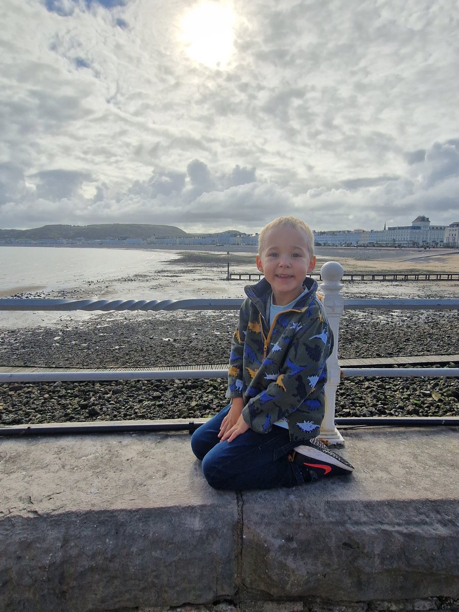 Sarah Fryer tweet media