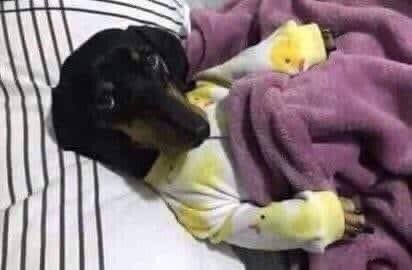Mi suegra entrando a la pieza de mi novia: Hija a que hora se va tu nov....