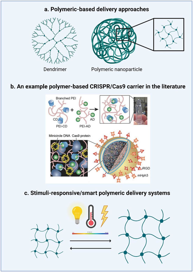 The manuscript 'Lipid- and Polymer-Based Nanoparticle Systems for the Delivery of CRISPR/Cas9' co-authored with Bhaargavi Ashok, Marissa Wechsler @Wechslerlab and @NPeppas is now available in PubMed Central (PMC) for public access. ncbi.nlm.nih.gov/pmc/articles/P…
